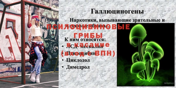 гидропоника Арсеньев