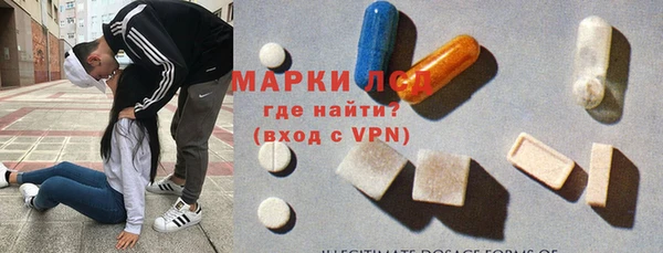 гашик Аркадак