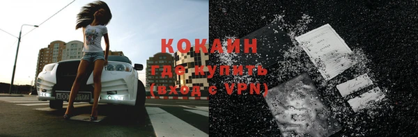 гашик Аркадак